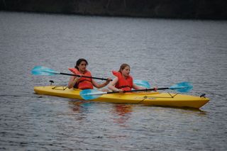 7.1 (183)