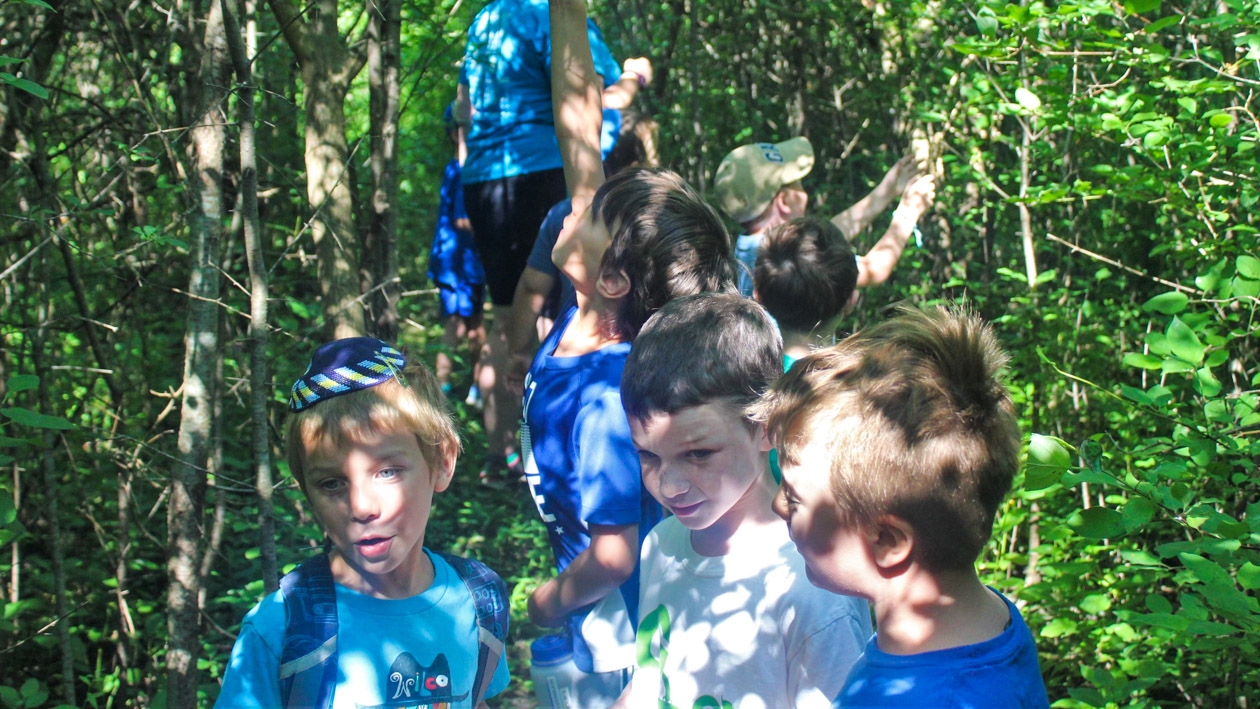 Boys doing an outdoor hike.