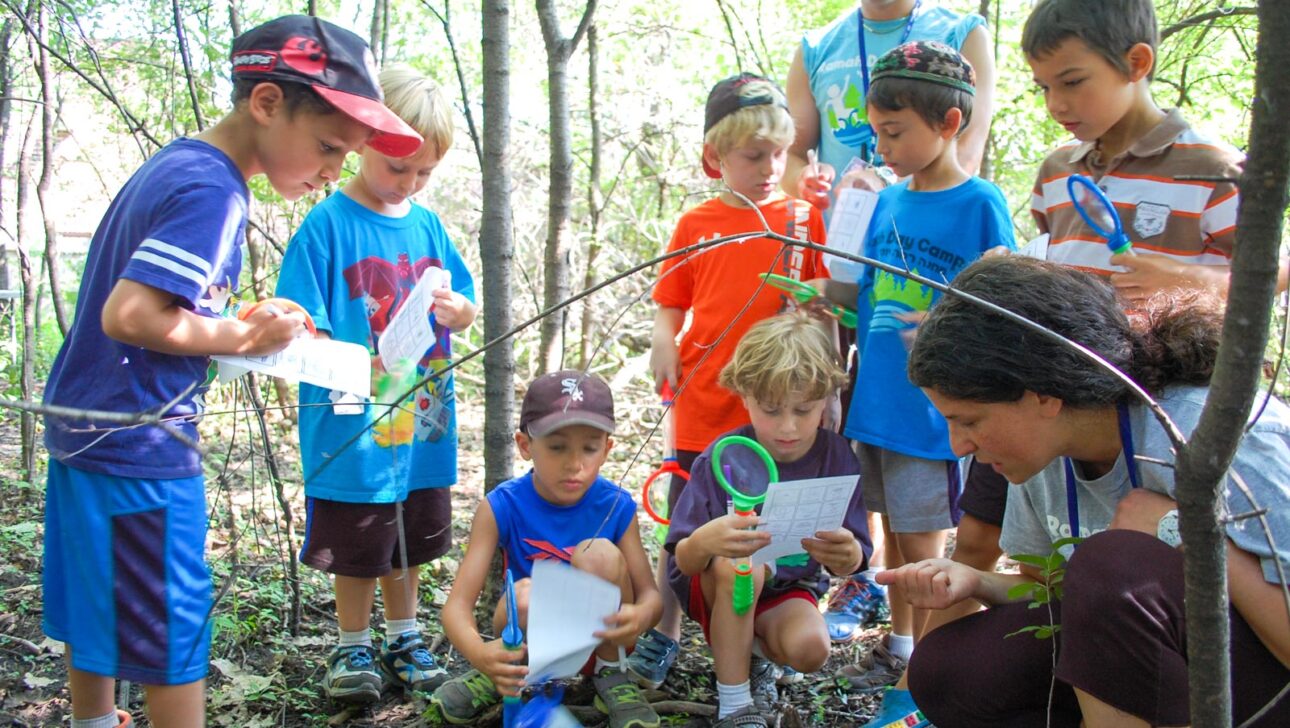 A group of boys examining insects in the woods.